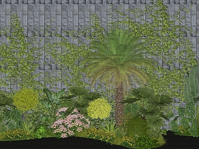 植物组合 现代绿植植物花境 植物堆 绿植组合 植物景观造景