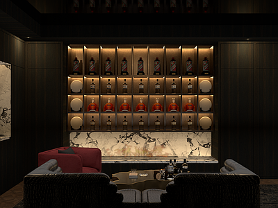 现代酒窖 酒窖