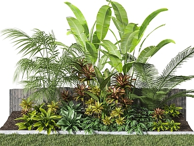 植物组合 树池组合 堆 小品