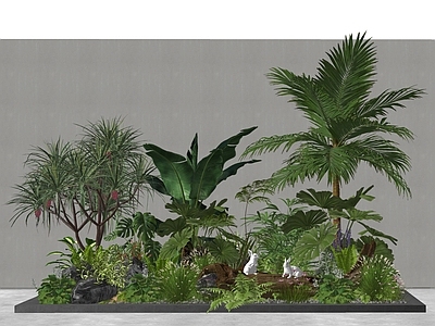 植物组合 组合 堆 花草花境 热带棕榈树