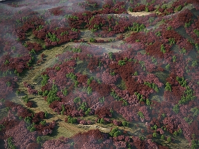 草 现代山森林鸟瞰 山体山林鸟瞰