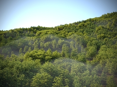 草 现代山森林鸟瞰 山体山林鸟瞰