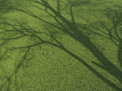 草