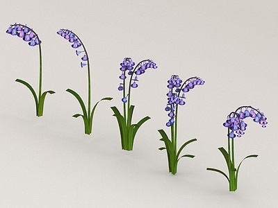 其他绿植 花草 紫色花