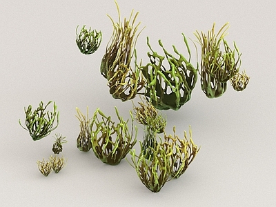其他绿植 草 植物