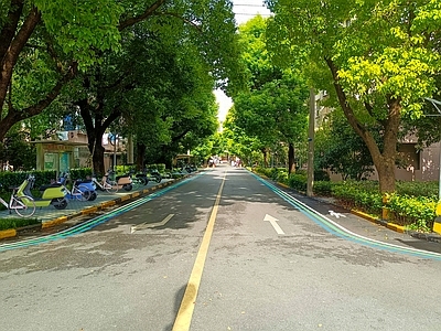 现代街道外景 人行道 林荫道