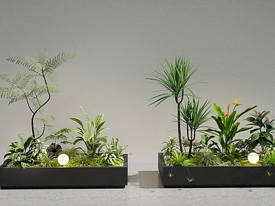 植物堆 组合 绿景 盒栽 室内