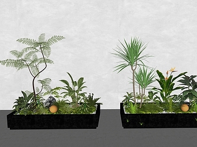 植物组合 景观造景 绿植盒栽 室内景观 植物堆