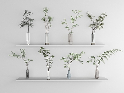 水生植物 水生植物