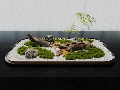 盆栽 苔藓盆栽 苔藓造景 植物景观小品 蕨类植物景观 植物堆