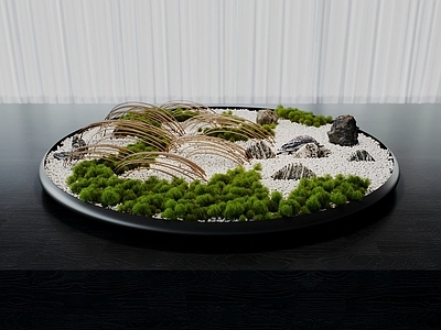 盆栽 现代苔藓盆栽 苔藓造景 植物景观小品 枯山水造景 竹片造景