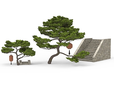 其他绿植 绿色植物 树 植物树