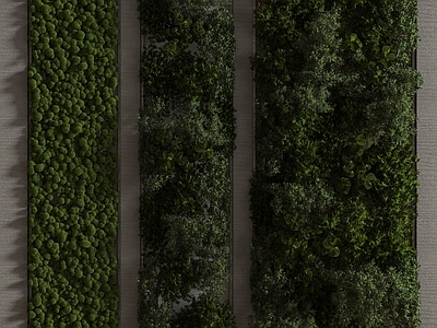 绿植墙 墙 植物 植物墙