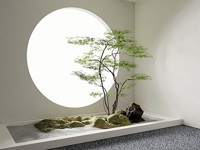 现代庭院小品 庭院植物景观 室内造景 景观树