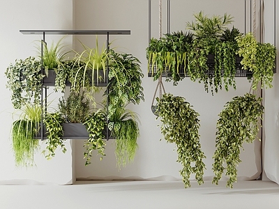 其他绿植 现代吊篮绿植 吊篮组合 花卉植物 悬吊植物 垂吊盆栽