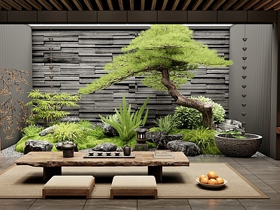 新中式茶室 室内景观造景 庭院小品 天井景观 景观石头 植物组合