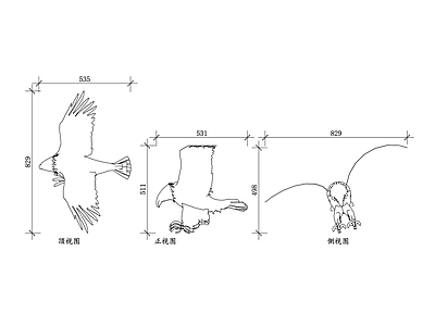 现代画室 猛禽鹰外观 猛禽鹰结构 猛禽鹰羽毛 猛禽鹰爪子 猛禽鹰飞行姿 施工图 画室