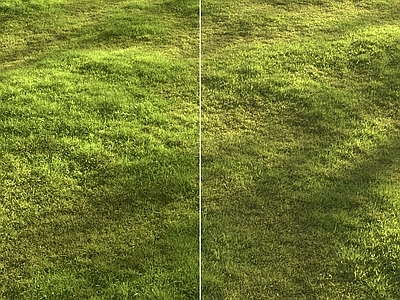 草