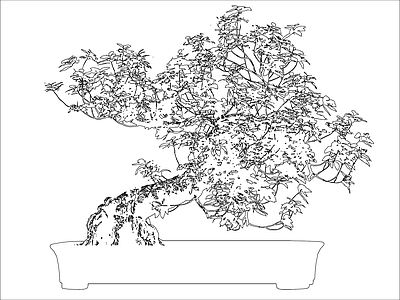 新中式树 造型松盆景 施工图