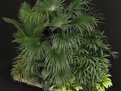 植物堆 现代 植物堆 盆景 堆