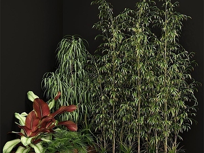 植物堆 现代 植物堆 植物