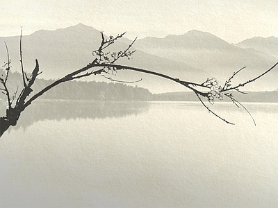 新中式禅意硬包 墙体背景墙画