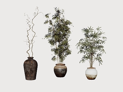 其他绿植 中式 干枝花