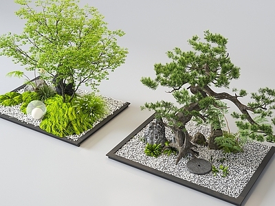 现代其他小品 现代植物景观