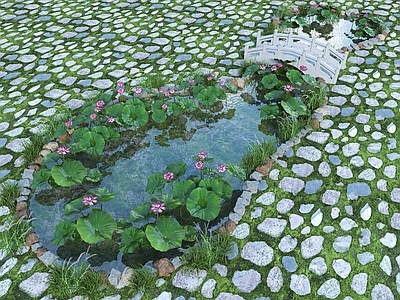 现代新中式水景 荷花池 景鲤池 鱼池 水景 荷花锦鲤