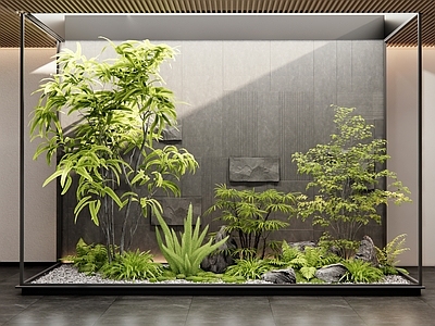 植物组合 室内 造景 花草 庭院小品 天井造景