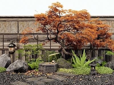 日式庭院 小品 水钵 石头 红枫 汀步