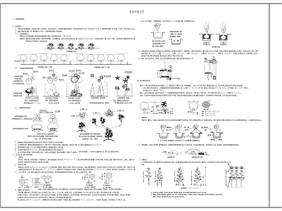 现代设计说明 绿化 植物种植 施工图