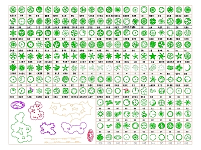 现代综合植物图库 植物 名 施工图