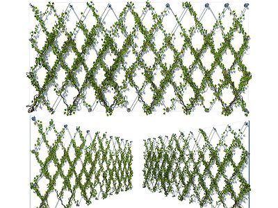 绿植墙 墙 植物墙 藤蔓 绿篱 篱笆