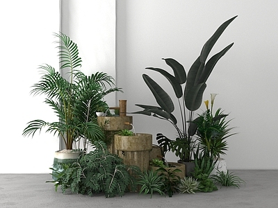 现代其他景观小品 植物