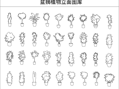 综合植物图库 盆摘植物立面图库 施工图