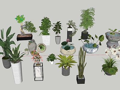 盆栽 盆景植物 花盆 鱼缸 盆栽 客厅植物