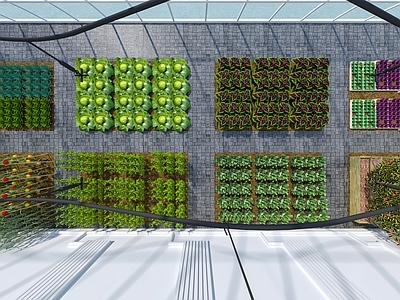 现代其他商业空间 现代温室大棚 蔬菜大棚 阳光种植大棚 采光大棚