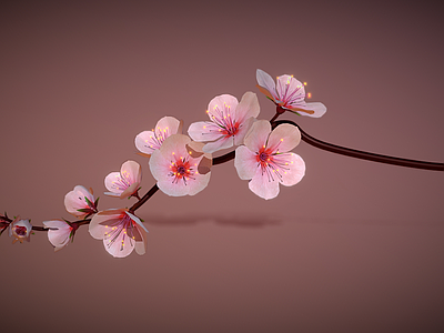 花 樱花树枝 写实樱花 樱花枝 梅花 花植物 插花花枝