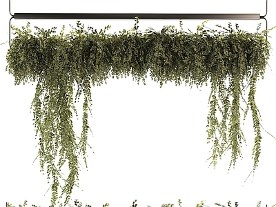 其他绿植 现代植物吊篮