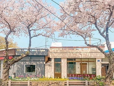 现代街道外景 窗外街道外景日景 商业街外景 人行道