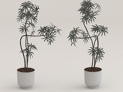 其他绿植 花草 摆件