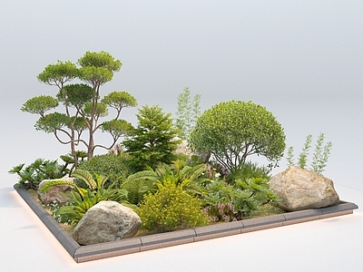 植物堆 植物 小景 盆景