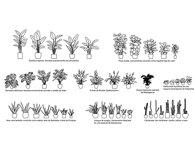 现代新中式综合植物图库 植物绿植盆栽图块 施工图