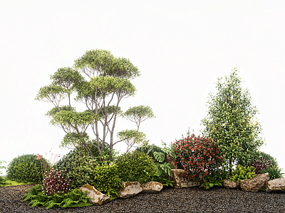 植物组合 现代植物花境 植物堆 绿植组 石头 乔木灌木