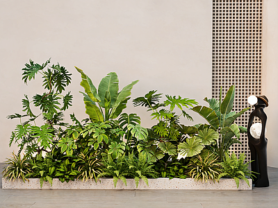 植物组合 花箱 室内造景 组合 堆 花池花坛 花境