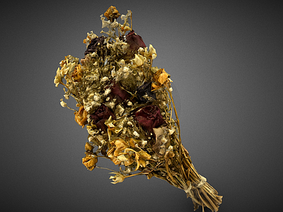 花 干燥花花束 扫描干花花束 花朵 干花束 植物
