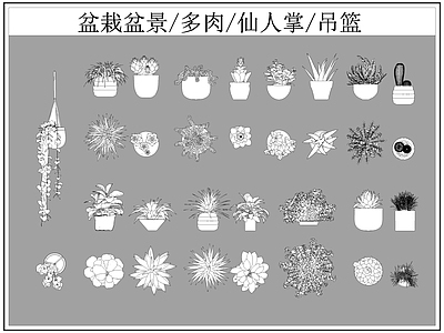 现代综合植物图库 盆栽盆景 多肉 仙人掌 吊篮 施工图