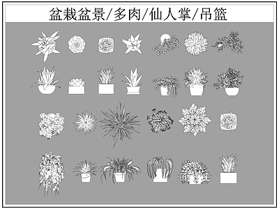 现代综合植物图库 盆栽盆景 多肉 仙人掌 施工图