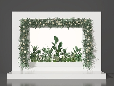 其他绿植 植物组合 小景 植物 植物美陈 植物